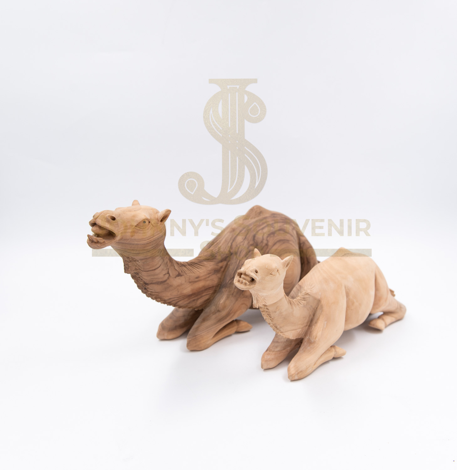 Camel