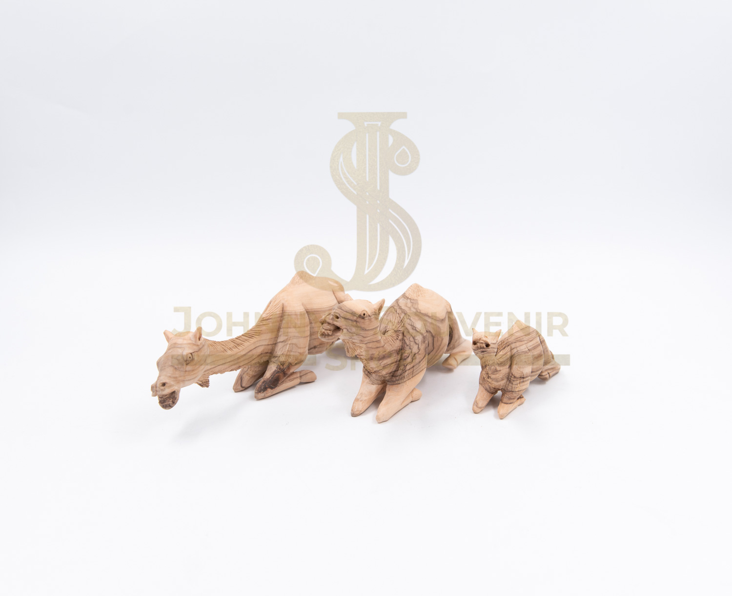Camel