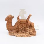 Camel