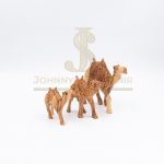 Camel