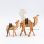 Camel