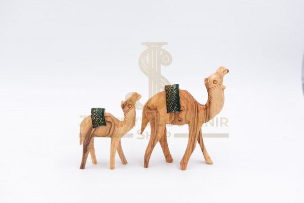 Camel