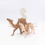 Camel