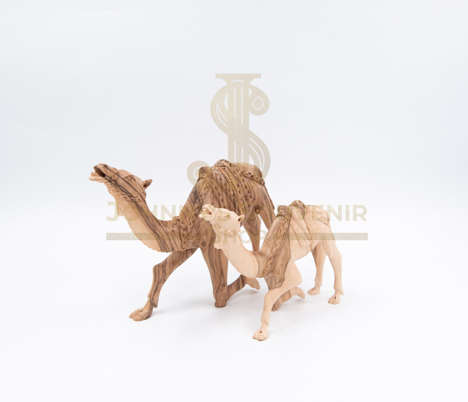 Camel