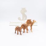 Camel